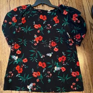 Gibson and Latimer top